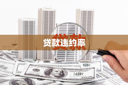 宝安贷款违约率