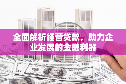 宝安全面解析经营贷款，助力企业发展的金融利器