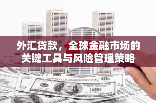 宝安外汇贷款，全球金融市场的关键工具与风险管理策略