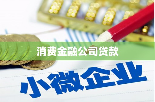 宝安消费金融公司贷款