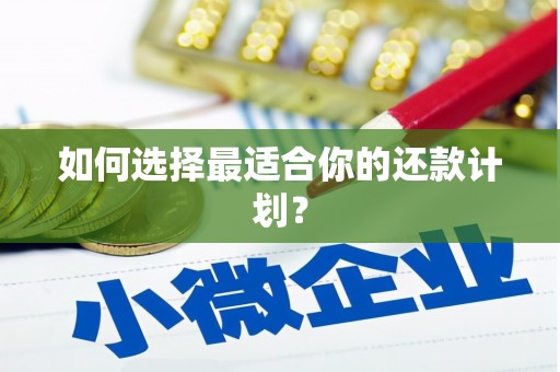 宝安如何选择最适合你的还款计划？