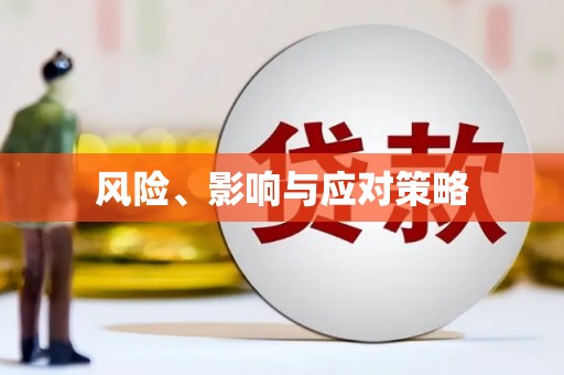 宝安风险、影响与应对策略