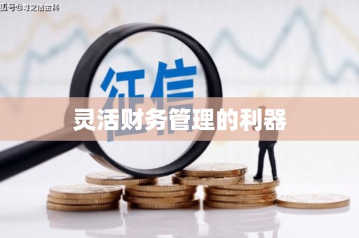 宝安灵活财务管理的利器