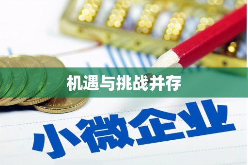 宝安机遇与挑战并存