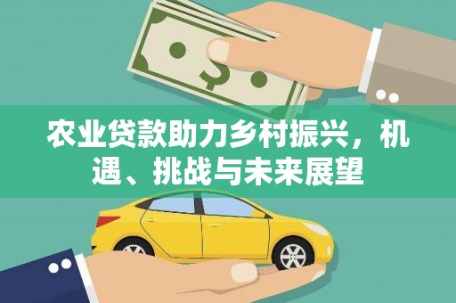 宝安农业贷款助力乡村振兴，机遇、挑战与未来展望
