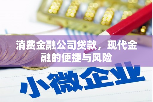 宝安消费金融公司贷款，现代金融的便捷与风险