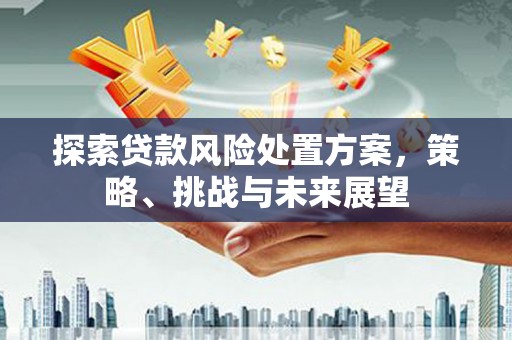 宝安探索贷款风险处置方案，策略、挑战与未来展望