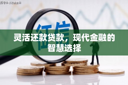 宝安灵活还款贷款，现代金融的智慧选择