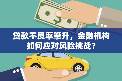 宝安贷款不良率攀升，金融机构如何应对风险挑战？