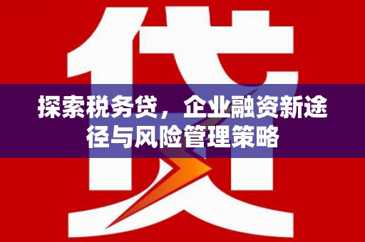 宝安探索税务贷，企业融资新途径与风险管理策略