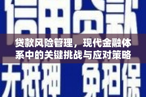 宝安贷款风险管理，现代金融体系中的关键挑战与应对策略