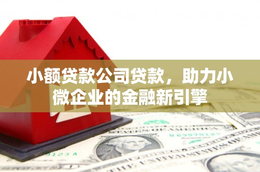 宝安小额贷款公司贷款，助力小微企业的金融新引擎
