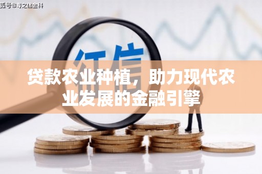 宝安贷款农业种植，助力现代农业发展的金融引擎