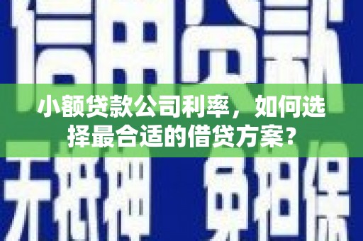 宝安小额贷款公司利率，如何选择最合适的借贷方案？