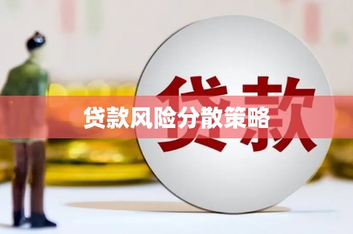 宝安贷款风险分散策略