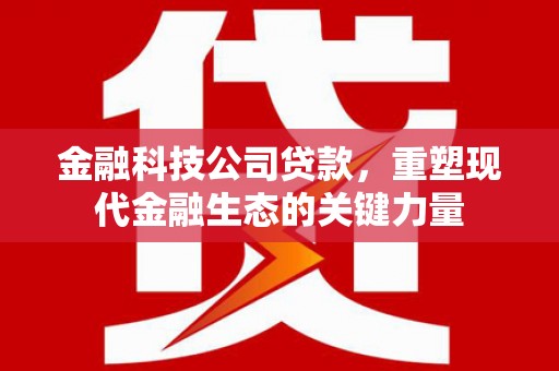 宝安金融科技公司贷款，重塑现代金融生态的关键力量