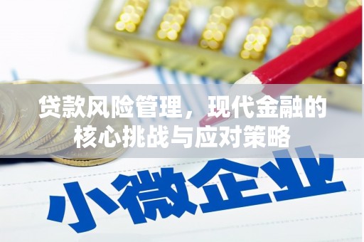 宝安贷款风险管理，现代金融的核心挑战与应对策略