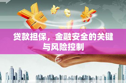 宝安贷款担保，金融安全的关键与风险控制
