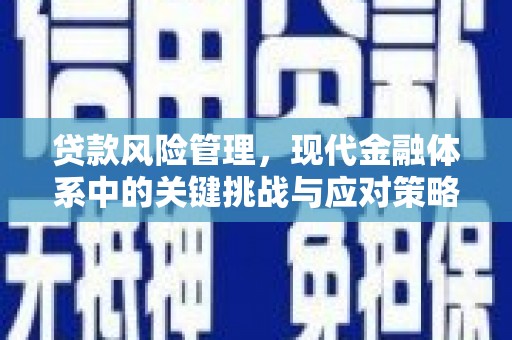 宝安贷款风险管理，现代金融体系中的关键挑战与应对策略