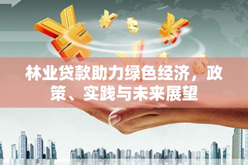 宝安林业贷款助力绿色经济，政策、实践与未来展望