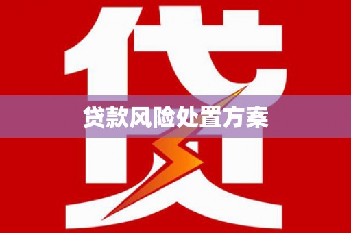 宝安贷款风险处置方案