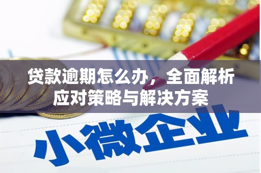 宝安贷款逾期怎么办，全面解析应对策略与解决方案