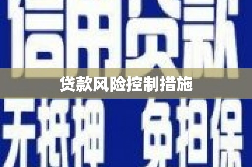 宝安贷款风险控制措施