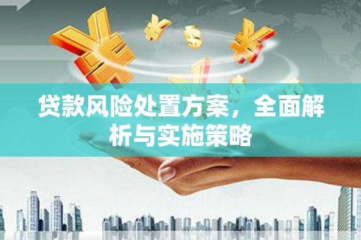 宝安贷款风险处置方案，全面解析与实施策略