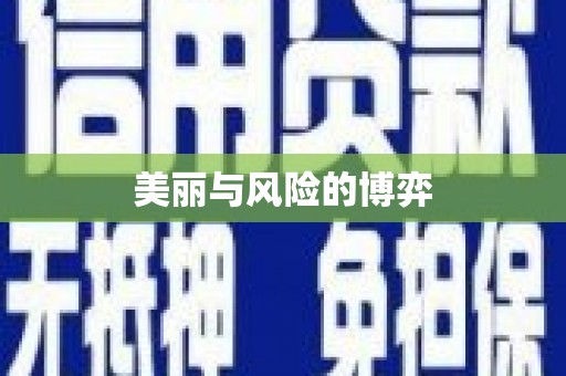 宝安美丽与风险的博弈